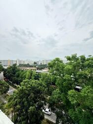 Blk 535 Bedok North Street 3 (Bedok), HDB 3 Rooms #591353041